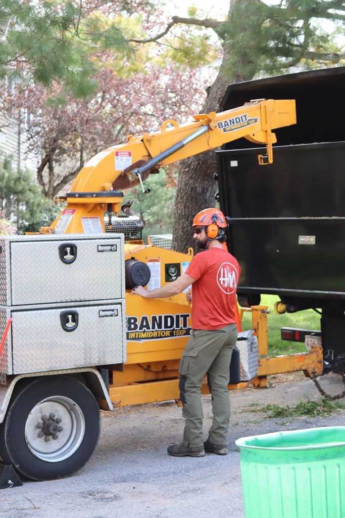 A tree care worker operating a woodchipper.